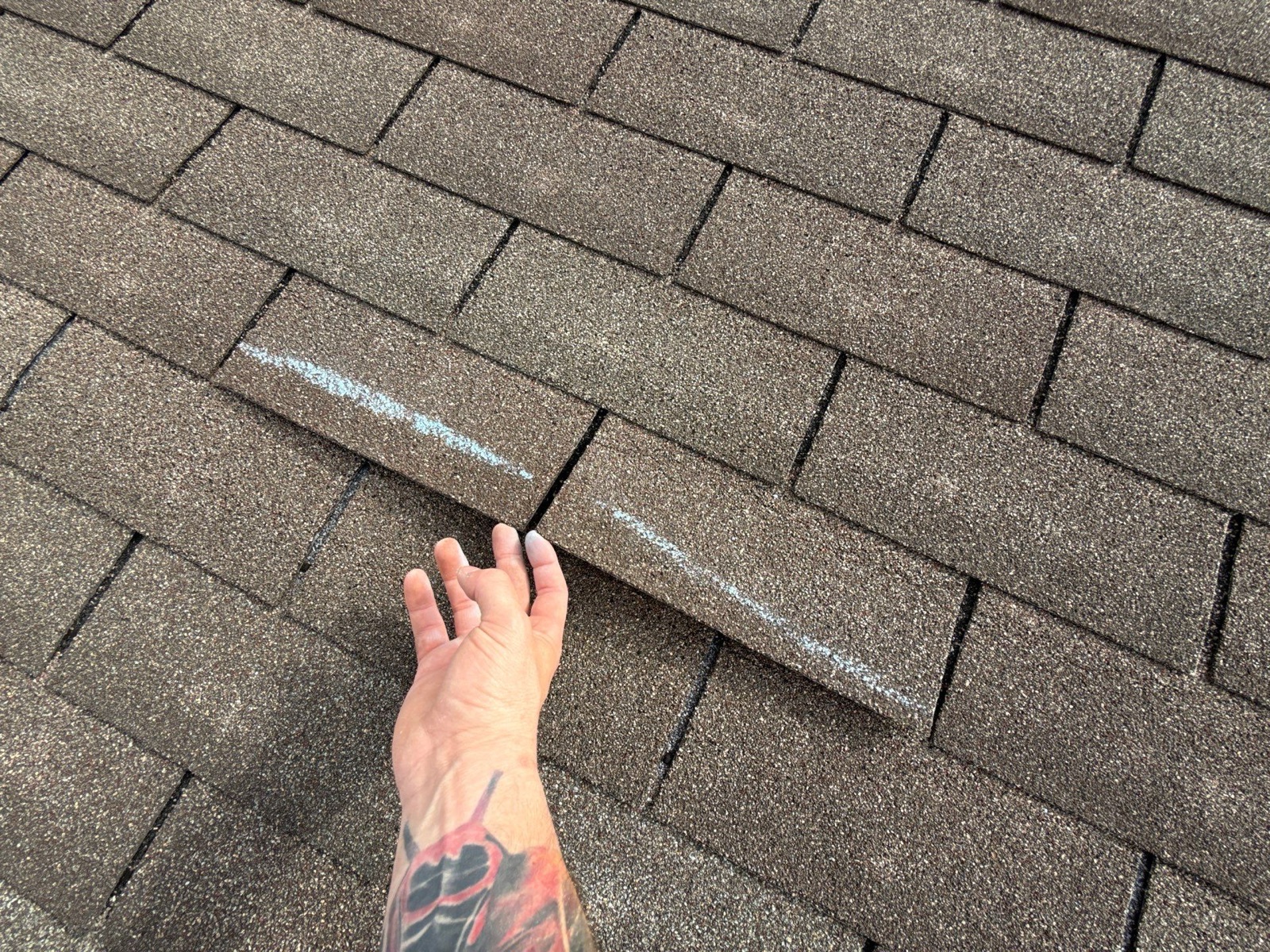 A shingle lifted loose at the tab — a classic sign of wind damage